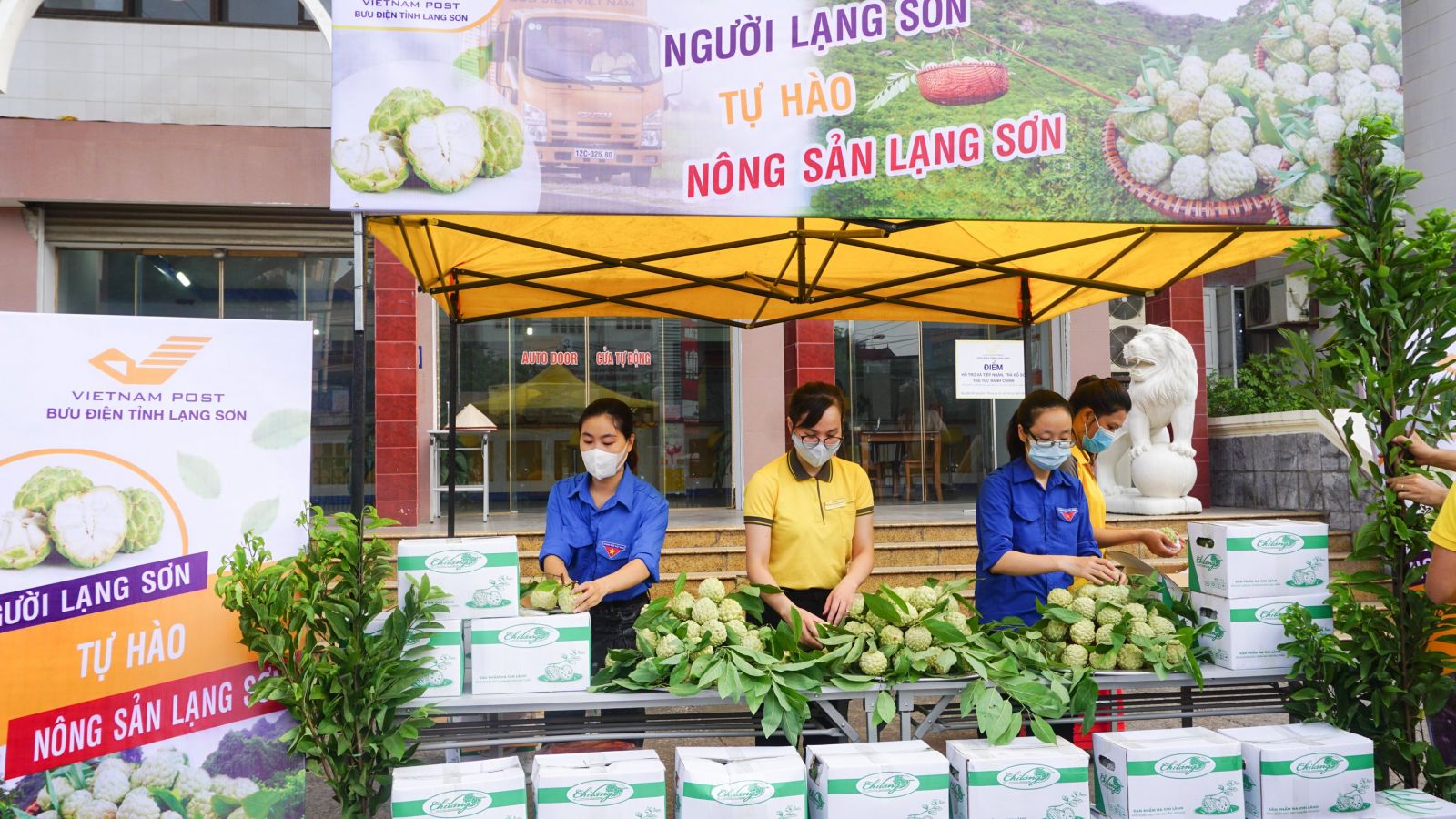 Vietnam Post sẽ áp dụng gói đồng giá cước vận chuyển na Lạng Sơn với mức 20.000 đồng/đơn đến 5kg, 30.000 đồng/đơn đến 10kg cho khách hàng đặt mua sản phẩm na Lạng Sơn trên sàn TMĐT Postmart.vn              