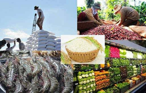 Các địa phương đẩy mạnh phát triển sản xuất, tiêu thụ, xuất khẩu nông sản cho các vùng, khu vực đã khống chế được dịch COVID-19