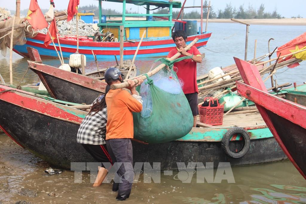 Ngư dân Hà Tĩnh trúng mùa cá Khoai