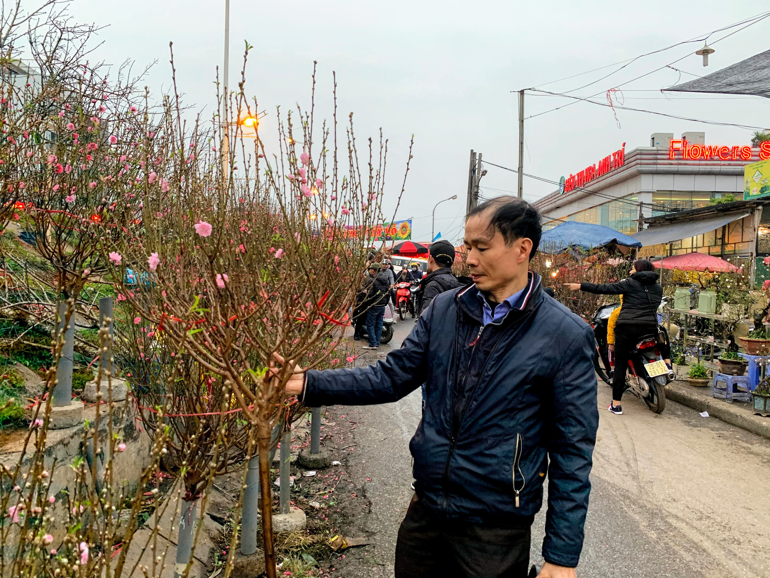  Theo khảo sát, mỗi cành đào tết dáng đẹp, thế chuẩn tại chợ hoa Quảng An (Hà Nội) hiện đang được giao động trong khoảng 300.000 - 500.000 đồng/cành.