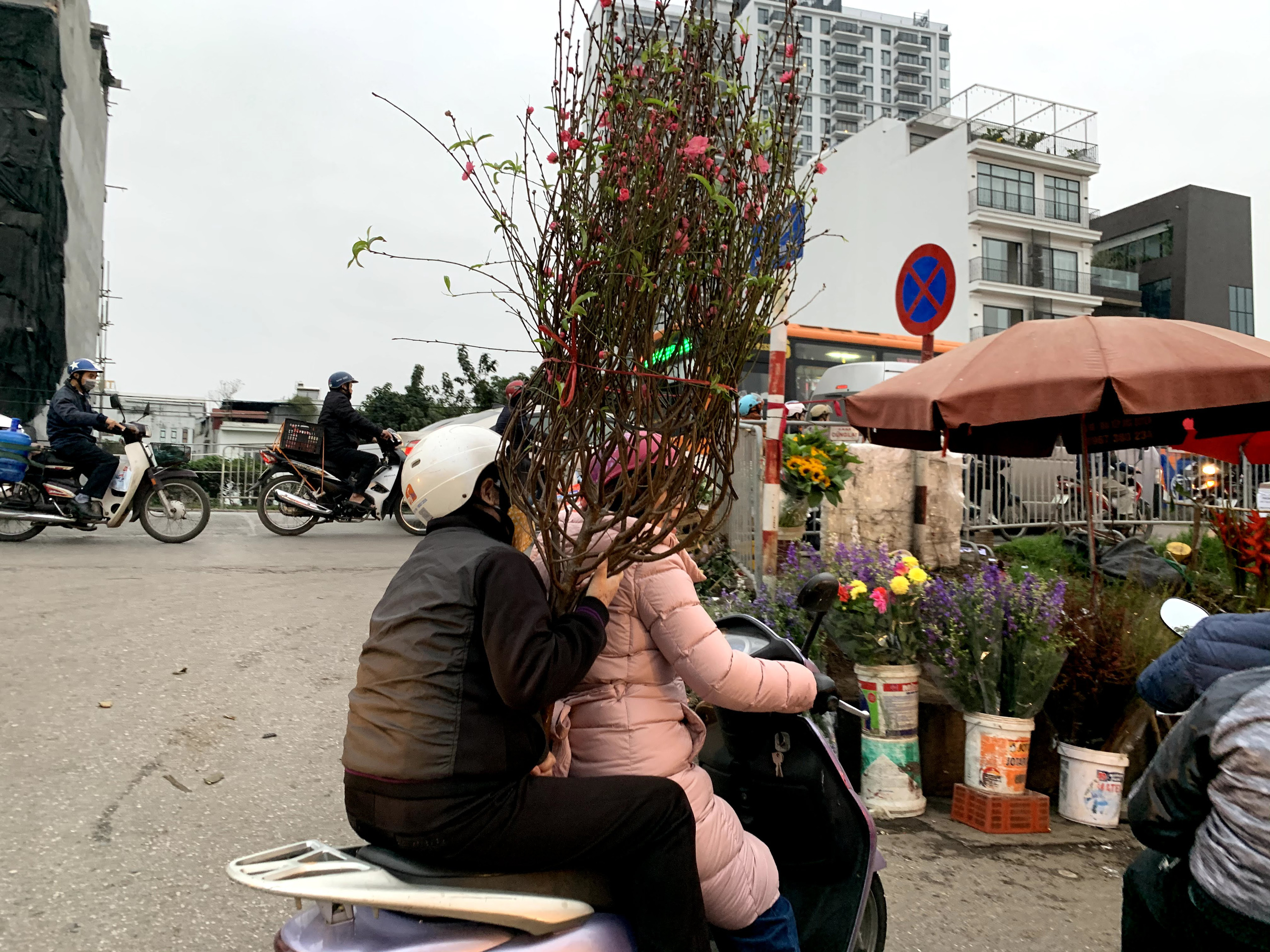  Bất chấp cái lạnh sâu của Hà Nội trong những ngày này, nhiều gia đình vẫn tìm đến chợ hoa để chọn mua được cành đào ưng ý.