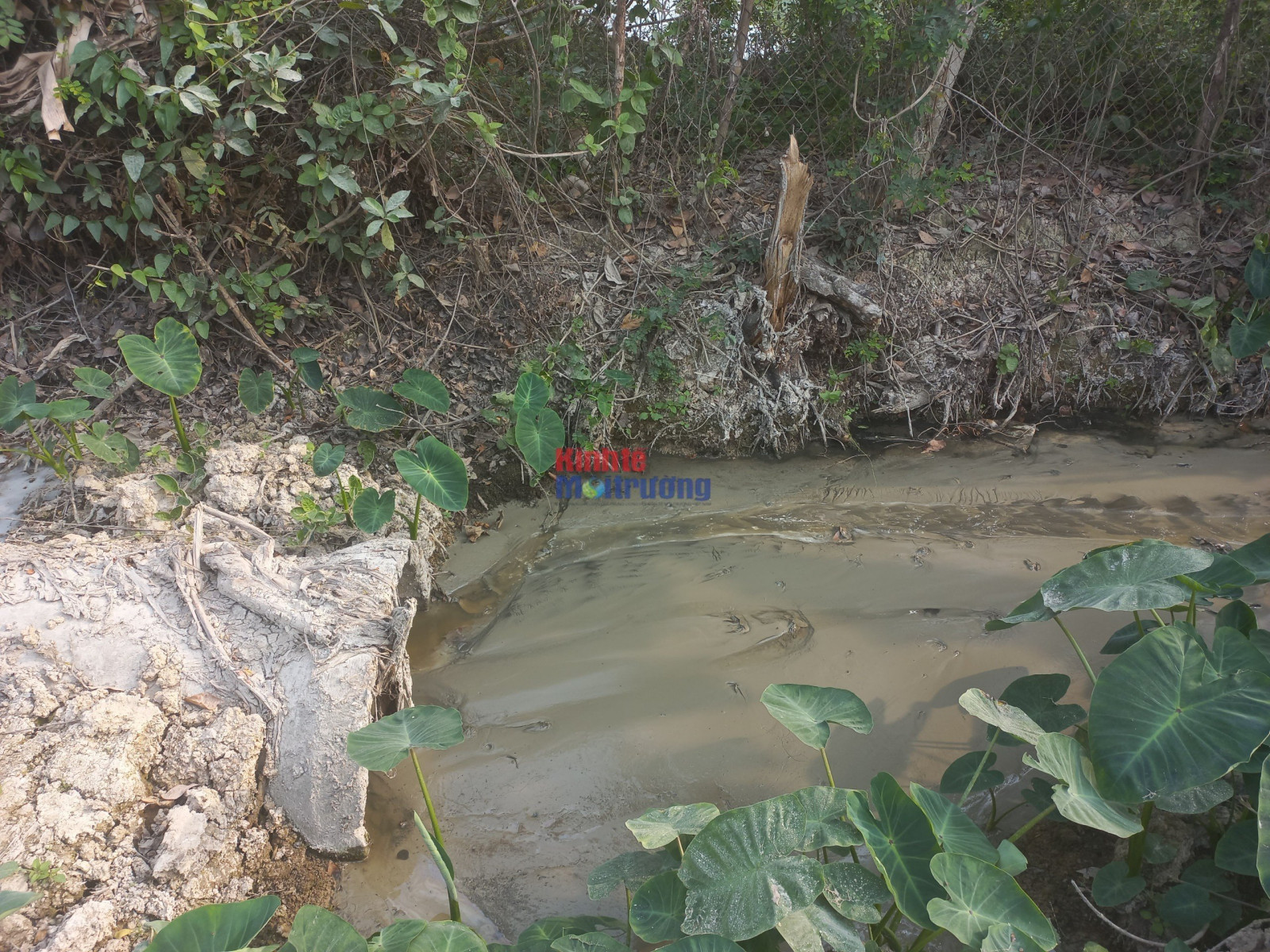 Trạm trộn bê tông không phép, xả thải trực tiếp ra môi trường tại thôn Lý Đỏ, xã Tân Việt xây dựng trên đất nông nghiệp.