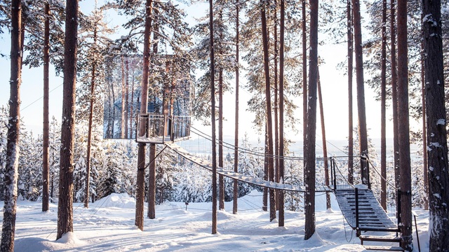 Treehotel là mô hình khách sạn xanh hiện đại (Ảnh: Swedish Lapland).
