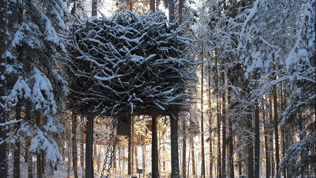 Nhà tổ chim Birds Nest (Ảnh: Swedish Lapland).