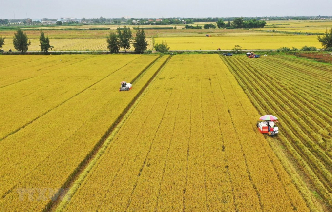 Thủ tướng duyệt cho An Giang chuyển hơn 70ha đất trồng lúa