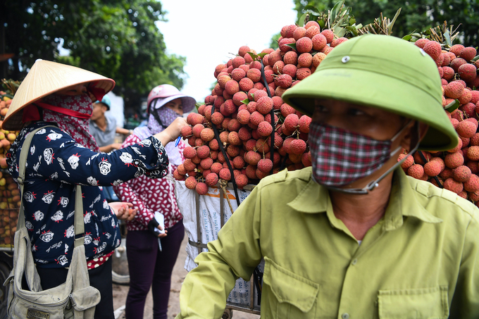 Nông dân Bắc Giang tiêu thụ vải thiều trong mùa vụ vải năm 2020. Ảnh: Giang Huy